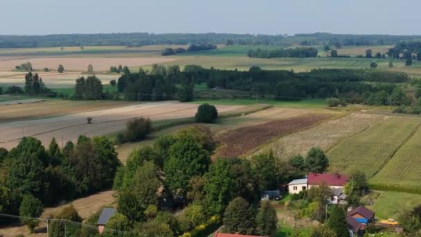 Gyönyörű Táj Oleszyce Aerial View Lengyelország Kiváló Minőségű Felvételek — Stock videók