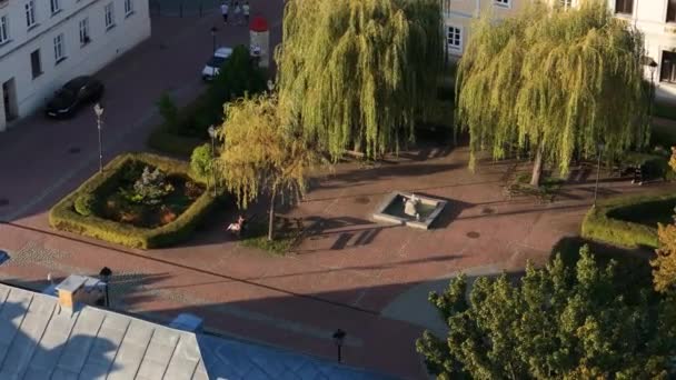 Beautiful Saint Square Fountain Old Town Sanok Aerial View Poland — Stock Video