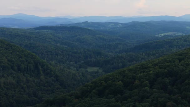 Bellissimo Paesaggio Foresta Myczkowce Montagne Bieszczady Vista Aerea Polonia Filmati — Video Stock