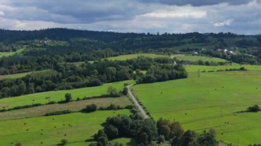 Güzel Peyzaj Yolu Ormanı Dağları Bieszczady Bircza Hava Manzarası Polonya. Yüksek kalite 4k görüntü