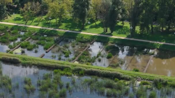 Vakkert Landskap Borki Lagoon Pond Radom Aerial View Polen Opptak – stockvideo