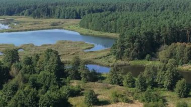 Güzel Peyzaj Göletleri Krasnobrod Hava Manzaralı Polonya. Yüksek kalite 4k görüntü
