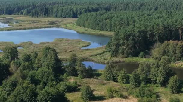 Schöne Landschaftsteiche Krasnobrod Luftaufnahme Polen Hochwertiges Filmmaterial — Stockvideo