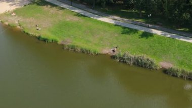 Güzel Borki Gölü Radom Hava Manzarası Polonya. Yüksek kalite 4k görüntü