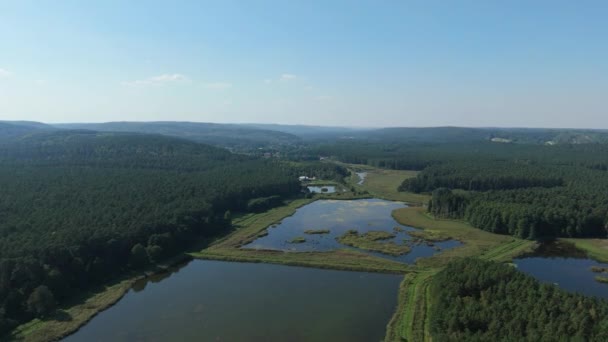 Ландшафтные Пруды Снобродский Вид Польшу Высококачественные Кадры — стоковое видео
