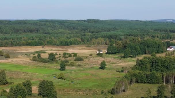 Vackra Landskap Forest Krasnobrod Antenn View Poland Högkvalitativ Film — Stockvideo