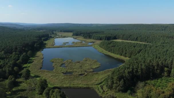 Schöne Landschaftsteiche Krasnobrod Luftaufnahme Polen Hochwertiges Filmmaterial — Stockvideo