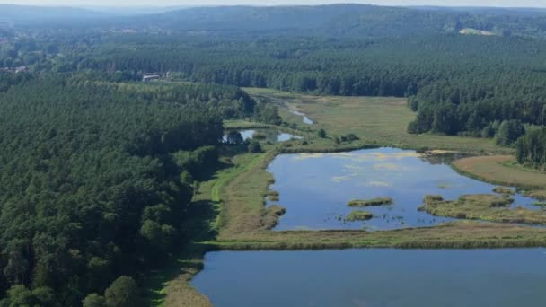 Prachtige Landschapsvijvers Krasnobrod Luchtfoto Polen Hoge Kwaliteit Beeldmateriaal — Stockvideo