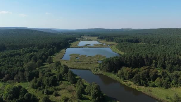 Beautiful Landscape Ponds Krasnobrod Aerial View Poland High Quality Footage — Stock Video