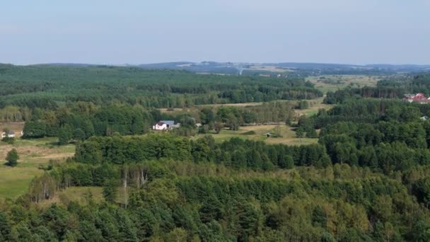 Όμορφο Τοπίο Δάσος Krasnobrod Αεροφωτογραφία Πολωνία Υψηλής Ποιότητας Πλάνα — Αρχείο Βίντεο