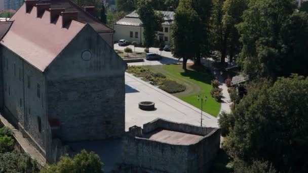 Прекрасний Королівський Замок Старе Місто Sanok Air View Poland Високоякісні — стокове відео