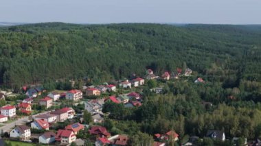 Güzel Manzara Dağ Ormanı Krasnobrod Hava Manzaralı Polonya. Yüksek kalite 4k görüntü