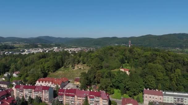 Beautiful Landscape Park Mountain Sanok Aerial View Poland High Quality — Stock Video