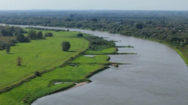 Güzel Peyzaj Nehri Vistula Sandomierz Hava Görüntüsü Polonya Yüksek Kalite — Stok video