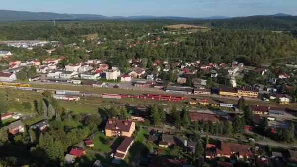 Krásná Krajina Vlakové Nádraží Zagorz Aerial View Polsko Vysoce Kvalitní — Stock video