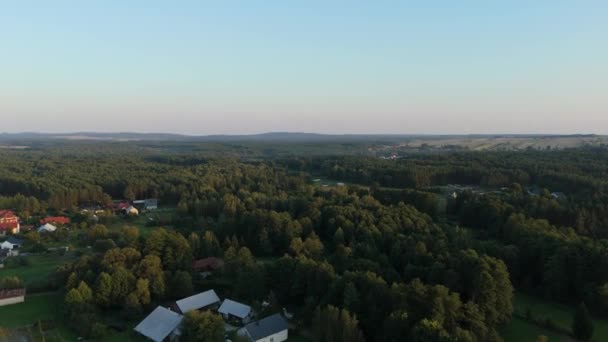 Beautiful Landscape Forest Narol Aerial View Poland High Quality Footage — Stock Video
