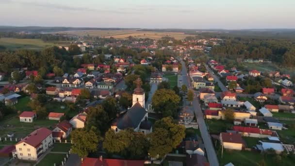 Krásná Krajina Kostel Narol Aerial View Polsko Vysoce Kvalitní Záběry — Stock video