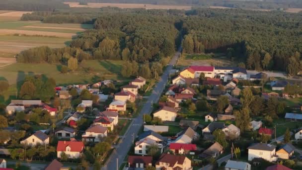 Beautiful Landscape Narol Aerial View Poland High Quality Footage — Stock Video