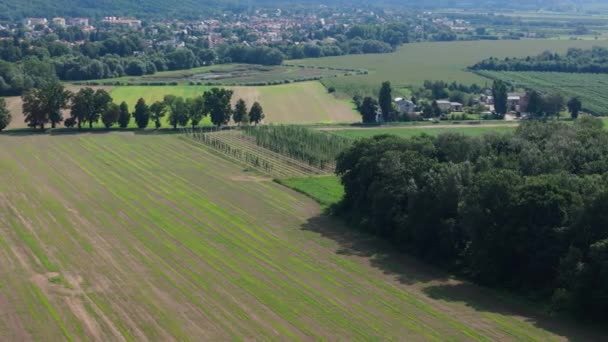 Krásná Krajina Přírodní Rezervace Pulawy Aerial View Polsko Vysoce Kvalitní — Stock video