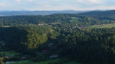 Güzel Manzara Dağları Lesko Ormanı Hava Manzarası Polonya. Yüksek kalite 4k görüntü