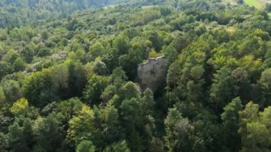 Güzel Taş Lesko Ormanı Hava Manzaralı Polonya. Yüksek kalite 4k görüntü