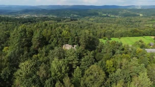 Hermosa Piedra Lesko Forest Vista Aérea Polonia Imágenes Alta Calidad — Vídeos de Stock