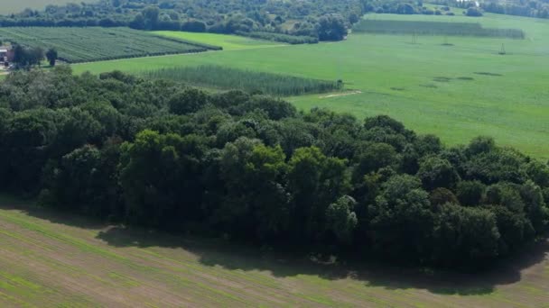 Όμορφο Τοπίο Φύση Αποθεματικό Pulawy Αεροφωτογραφία Πολωνία Υψηλής Ποιότητας Πλάνα — Αρχείο Βίντεο