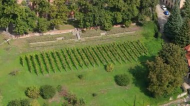 Güzel Basilica Field Sandomierz Hava Manzarası Polonya. Yüksek kalite 4k görüntü