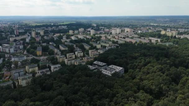 Прекрасний Краєвид Ландшафтний Ліс Житловий Будинок Пулаві Повітряний Вигляд Польща — стокове відео