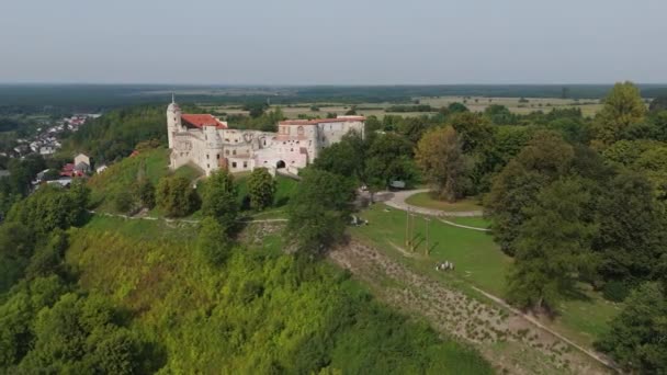 Красивий Пейзаж Три Хрести Замок Хілл Яновці Вид Повітря Польща — стокове відео