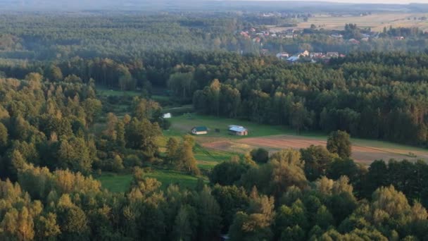 Piękny Krajobraz Las Narol Widok Powietrza Polska Wysokiej Jakości Materiał — Wideo stockowe