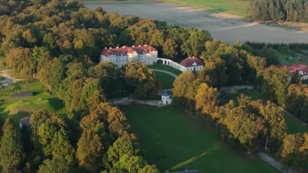 Beautiful Landscape Palace Narol Aerial View Poland High Quality Footage — Stock Video