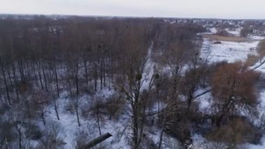 Güzel Donmuş Orman Czestochowa Hava Görüntüsü Polonya. Yüksek kalite 4k görüntü