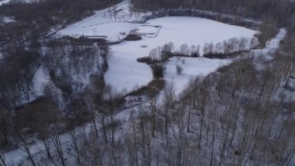 Beau Panorama Étang Congelé Czestochowa Vue Aérienne Pologne Images Haute — Video