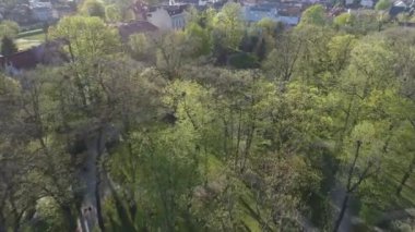 Güzel Park Santrali Sacz Hava Manzarası Polonya. Yüksek kalite 4k görüntü