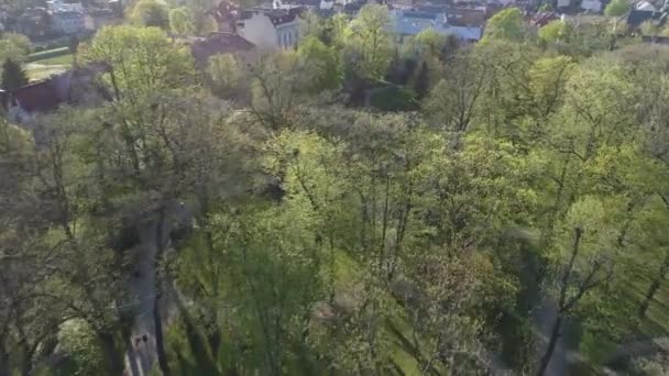 Beautiful Park Planty Nowy Sacz Vista Aérea Polônia Imagens Alta — Vídeo de Stock