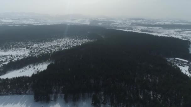 Beautiful Reserve Bor Forest Nowy Targ Aerial View Poland High — Stock Video