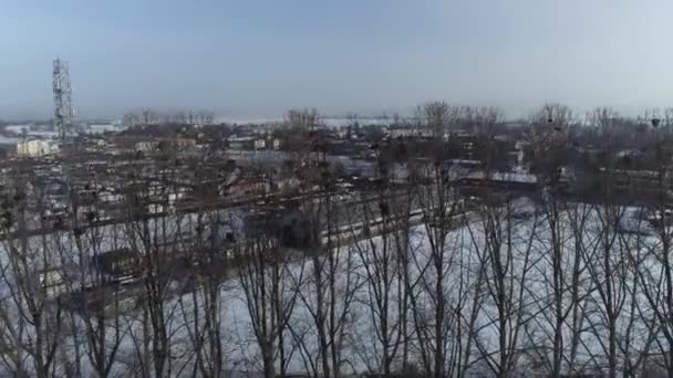 Gyönyörű Fák Madárfészkek Nowy Targ Aerial View Lengyelország Kiváló Minőségű — Stock videók