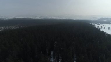 Güzel Panorama Reserve Bor Forest Nowy Targ Hava Manzarası Polonya. Yüksek kalite 4k görüntü