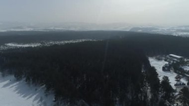 Güzel Bor Ormanı Şimdi Targ Hava Manzarası Polonya. Yüksek kalite 4k görüntü