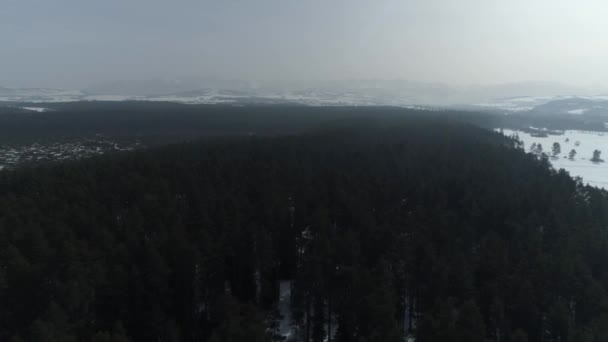 Schöne Panorama Reserve Bor Forest Nowy Targ Luftaufnahme Polen Hochwertiges — Stockvideo