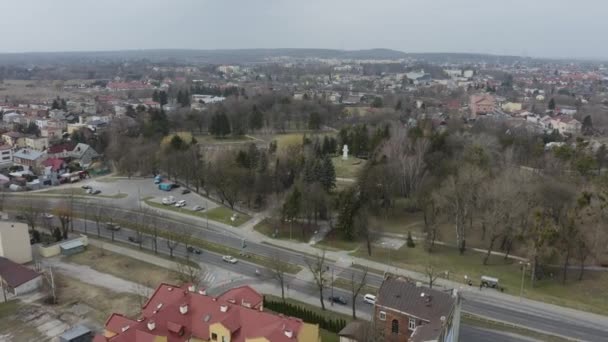 Krásný Panorama Socha Park Chelm Aerial View Polsko Vysoce Kvalitní — Stock video