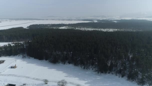 Gyönyörű Panoráma Rezervátum Bor Forest Nowy Targ Aerial View Lengyelország — Stock videók