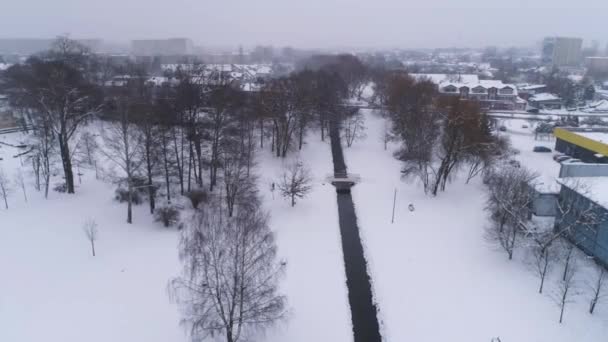 Панорама Річки Сніг Повітряний Вид Польщі Високоякісні Кадри — стокове відео