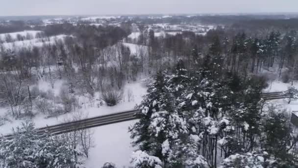 Panorama Forest Road Sneeuw Binkow Belchatow Uitzicht Vanuit Lucht Polen — Stockvideo
