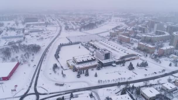 Зимний Снег Видом Польшу Высококачественные Кадры — стоковое видео