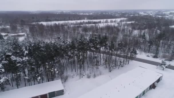 Panorama Forest Road Snow Binkow Belchatow Aerial View Polen Høj – Stock-video