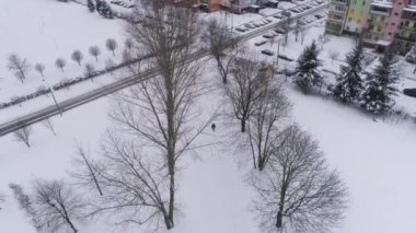 Kardaki Ağaçlar Przytorze Belchatow Hava Görüntüsü Polonya. Yüksek kalite 4k görüntü