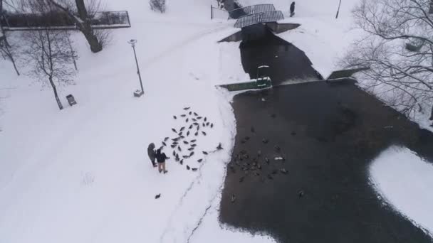 Winter River Park Snow Belchatow Luftaufnahme Polen Hochwertiges Filmmaterial — Stockvideo
