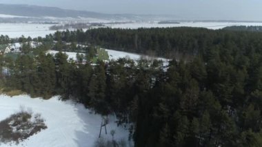 Güzel Panorama Reserve Bor Forest Nowy Targ Hava Manzarası Polonya. Yüksek kalite 4k görüntü